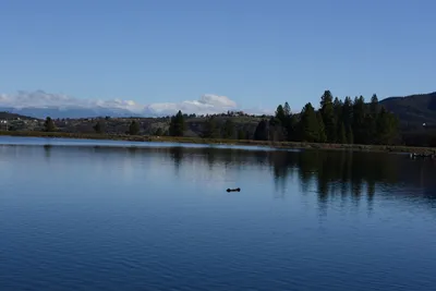 DSC_1162 (Large).JPG